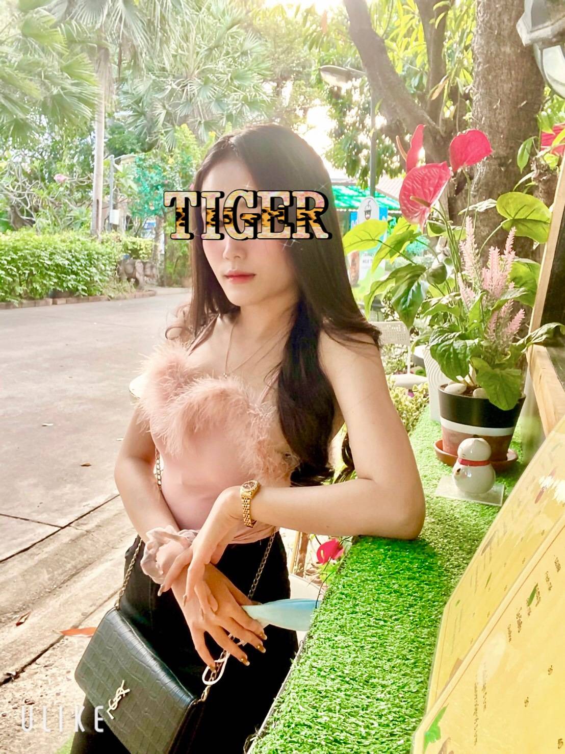 น้องแต้งกิ้ว เกษตรนวมินทร์ (1400฿) - TIGER CLUB